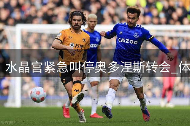 水晶宫紧急叫停奥多涅斯转会 体检问题成导火索